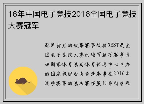 16年中国电子竞技2016全国电子竞技大赛冠军
